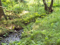 Merklínka