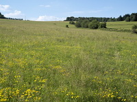 Merklínka