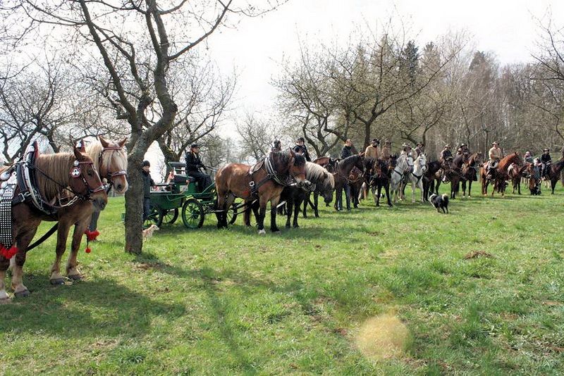 Otevírání studánek Plánice 2015