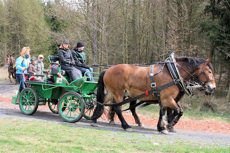 Otevírání studánek Plánice 2015