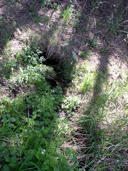 studánka Pod Strážkou (1)