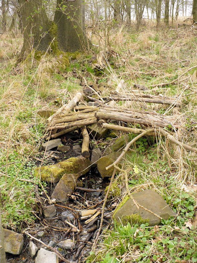studánka Jasanka (2)