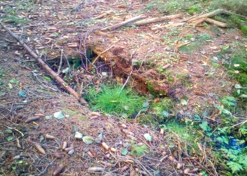 studánka U Ovčáku (4)