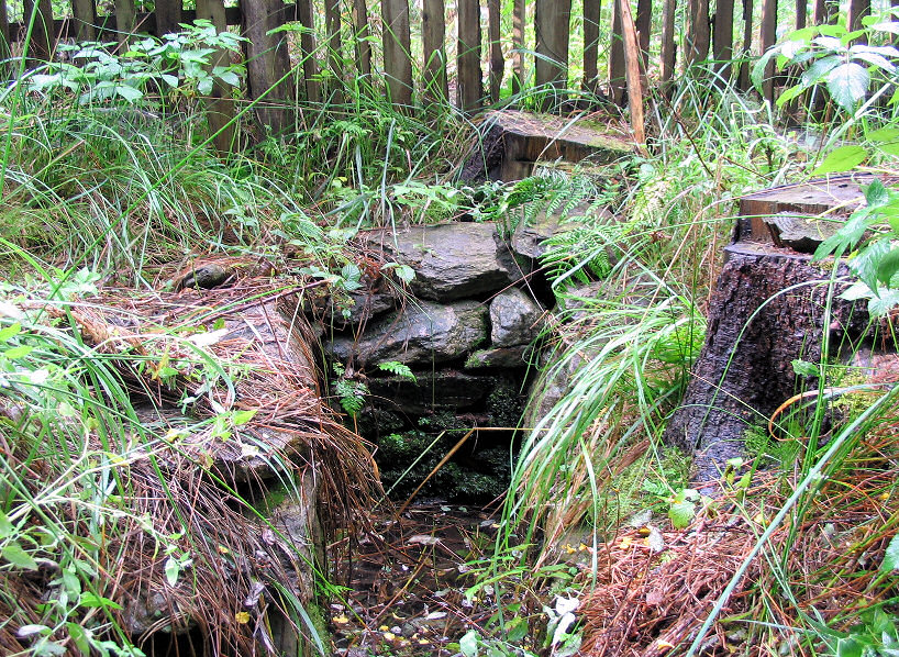 studánka U Tří smrků (8)
