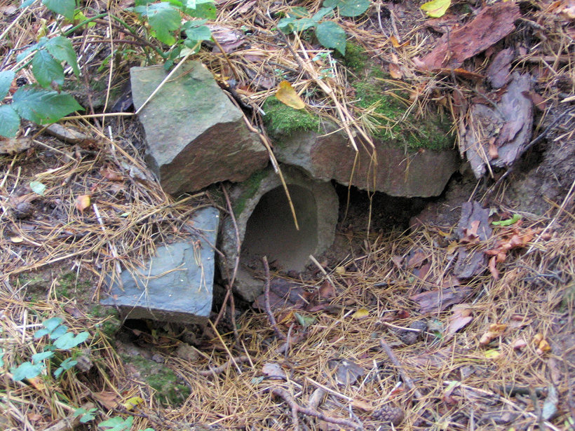 studánka Anna (10)