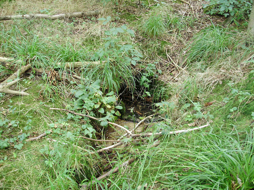 studánka Na Fibichu (24)