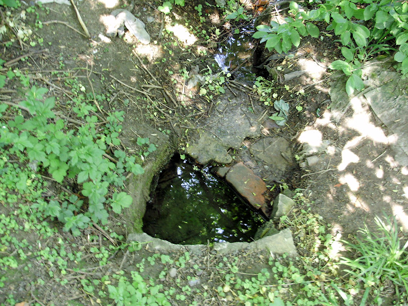 studánka Za Hřištěm (27)