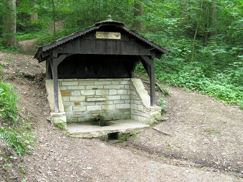 studánka V Bažantnici (37)