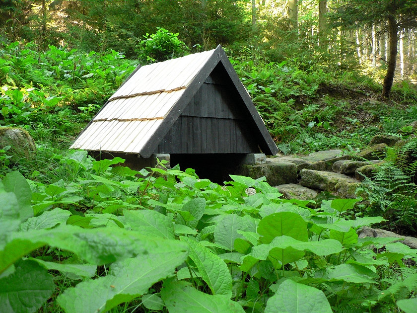 Blanická studánka (58)