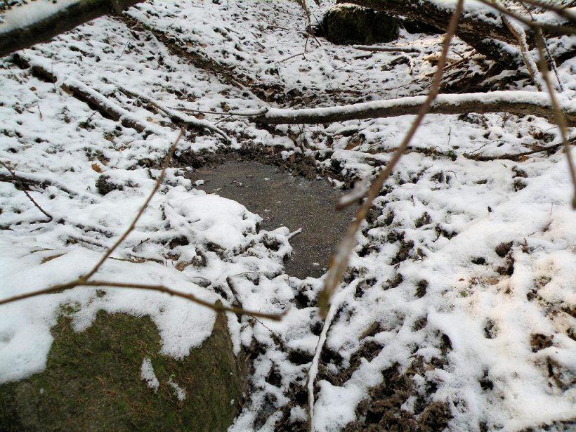 studánka Pod Balvany (67)