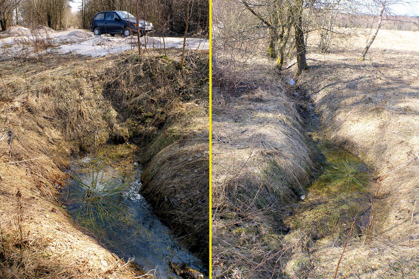 studánka bez jména (71)