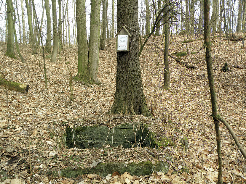 Kněžská studna (76)