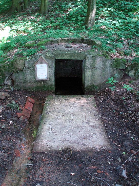 Ringhofferova studánka (85)