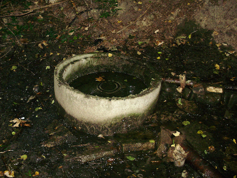 studánka U Mlýnku (93)