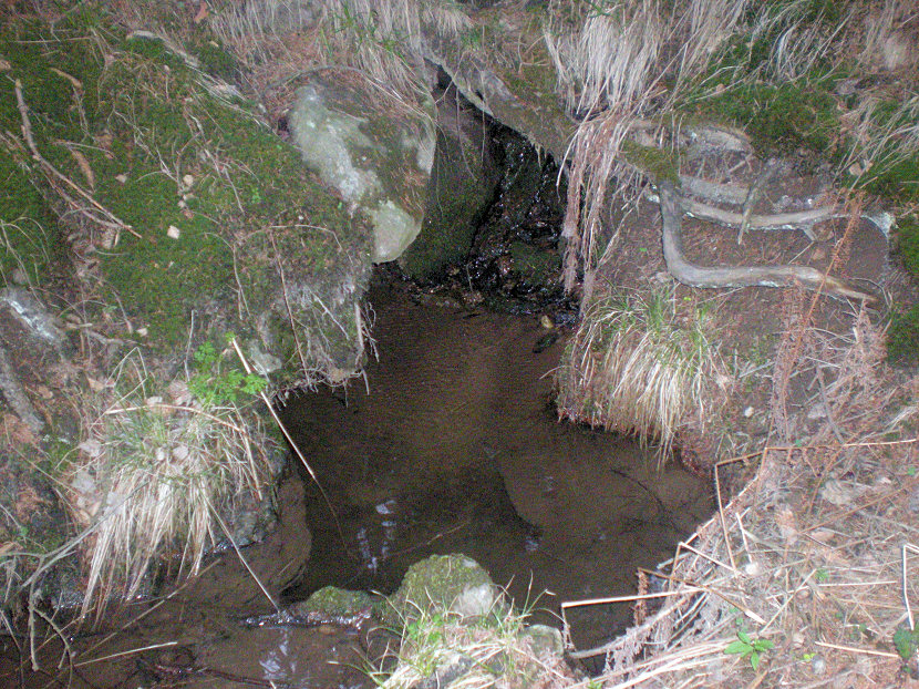 studánka Temnička (94)