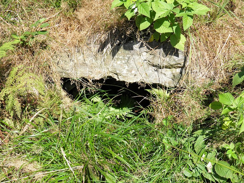 studánka Voděnka (95)