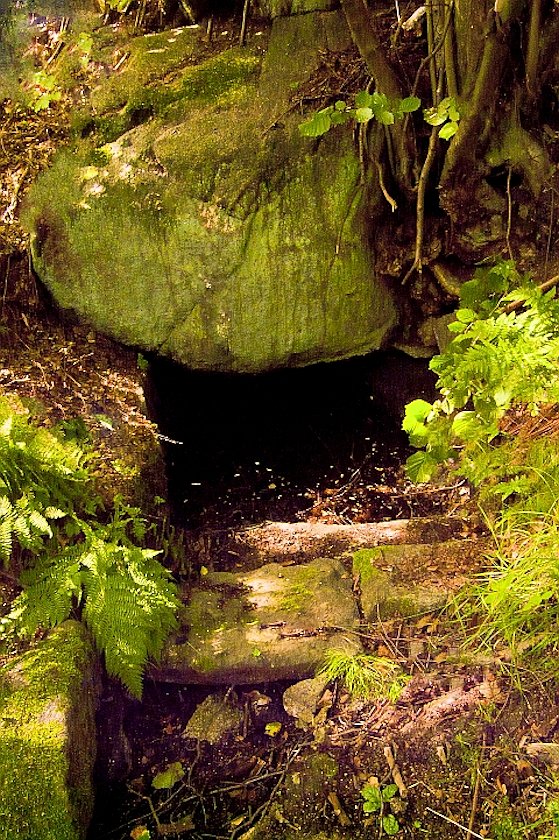 studánka Pod Lískou (97)