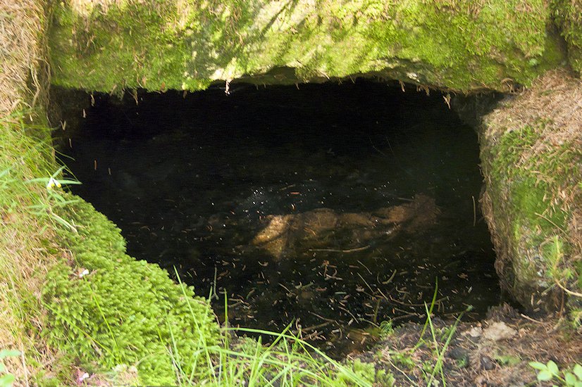 studánka Na Pasece snů (98)