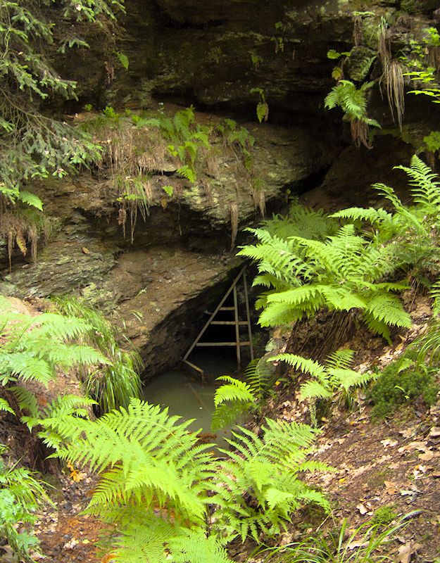 Ještěrčí studánka (99)