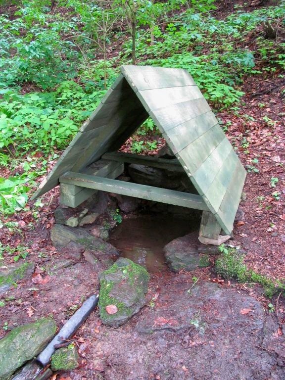 Poustevníkova studánka (100)