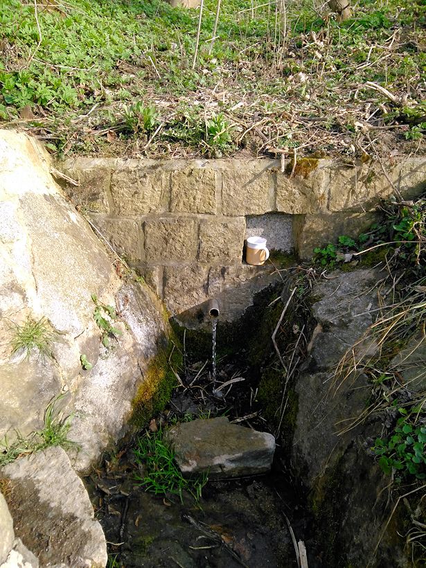 studánka Nad Spáleným mlýnem (1000)