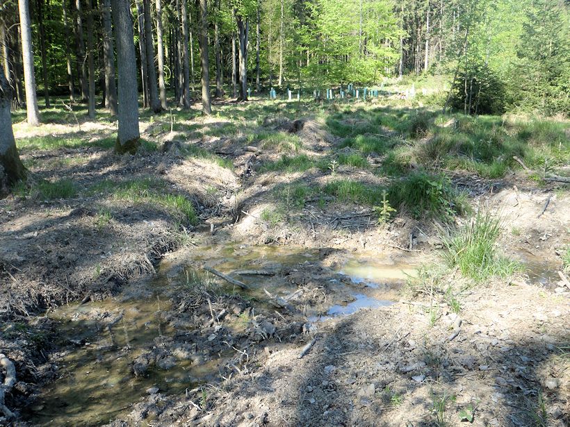 Studánka pod Čilinou (1002)