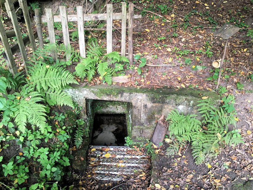 studánka Pytlíkov (1004)