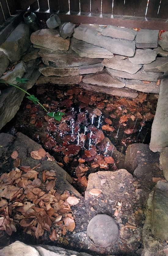 studánka Eliščina (1007)