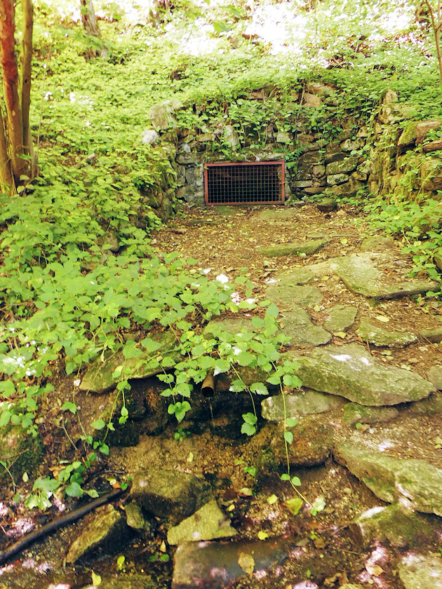 studánka Gruberova (1008)