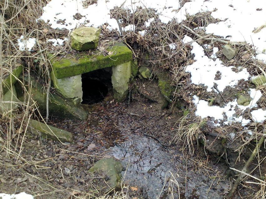 studánka U střelnice (1009)