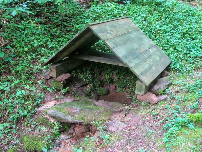 Polní studánka (101)
