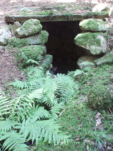 Studánka Máří Magdalény (103)