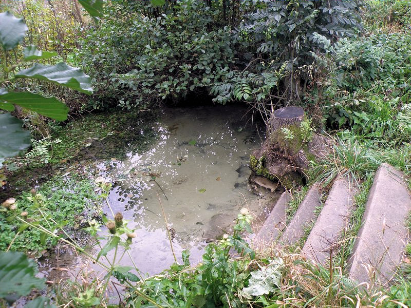 studánka Bezednice (1033)
