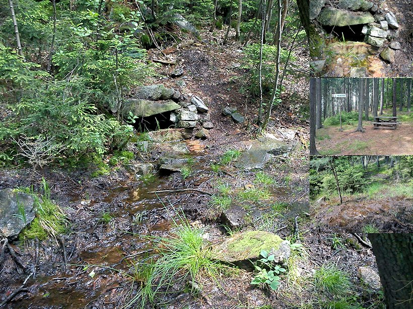 studánka Pod rezervací (1039)