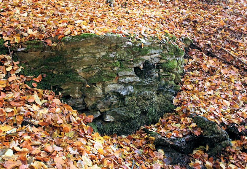 Studánka Nad Doubskou (1048)