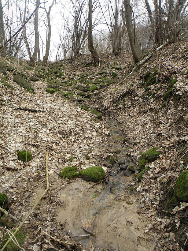pravý pramen Ostrý (1059)