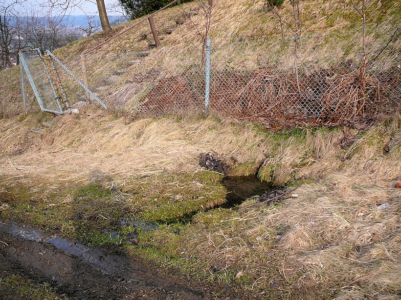 Studánka snů (106)