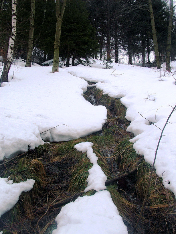 pramen Nad Čepcem (1060)