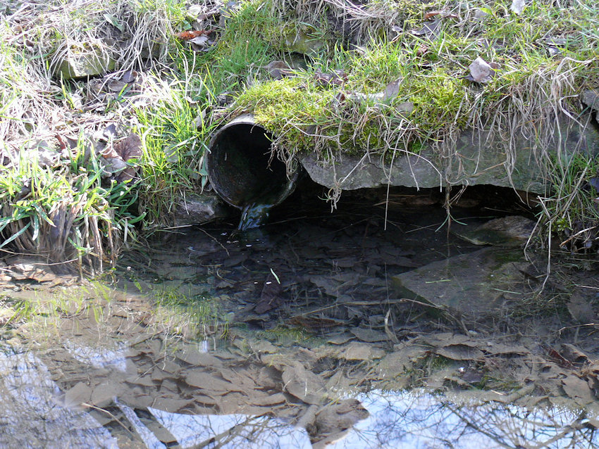 studánka U Stochovské kapličky (1061)