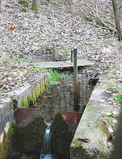 pramen Rachotova studánka (1072)