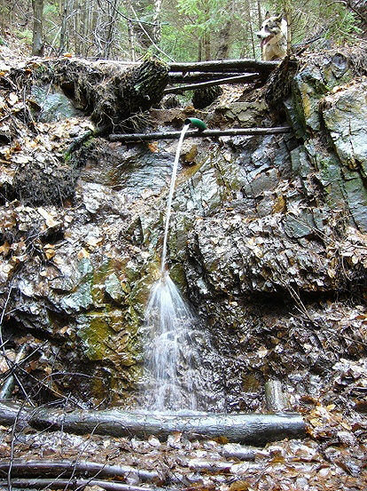 Yankeeho studánka (1077)