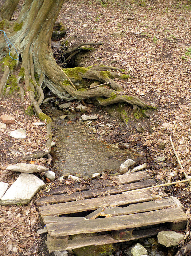 studánka Sněženka (108)