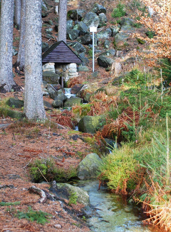 studánka Pod Panskou cestou (1080)