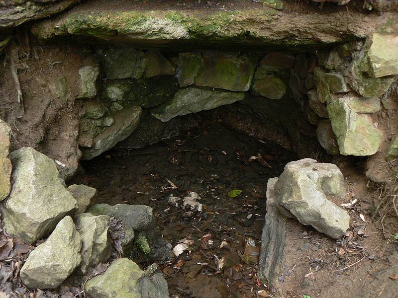studánka Kafélanka (1081)