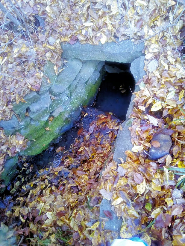 studánka bez jména (1083)