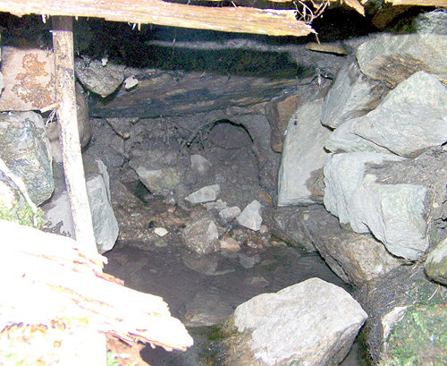 studánka bez jména (1093)