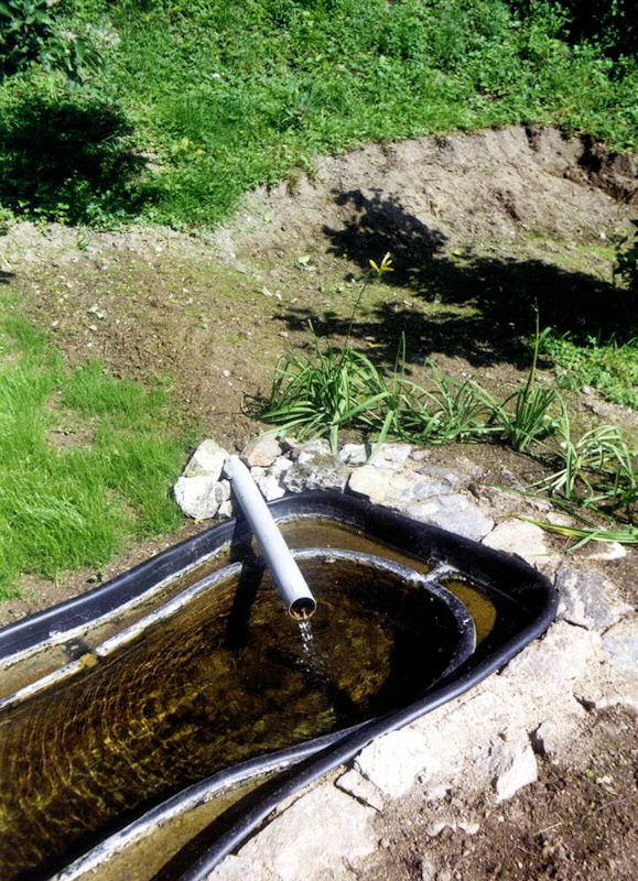 studánka bez jména (1097)