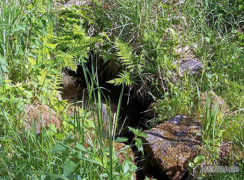 studánka Duběnka (110)