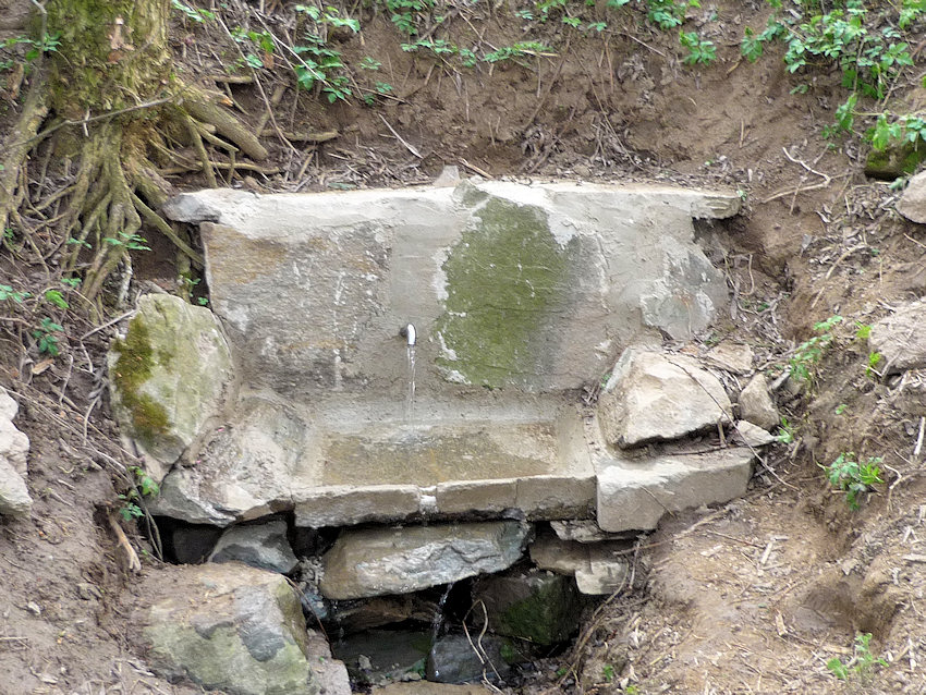 studánka bez jména (1121)