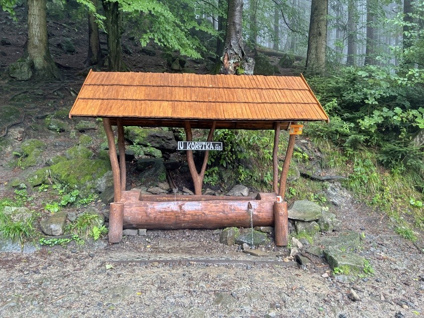 studánka U korýtka (1124)
